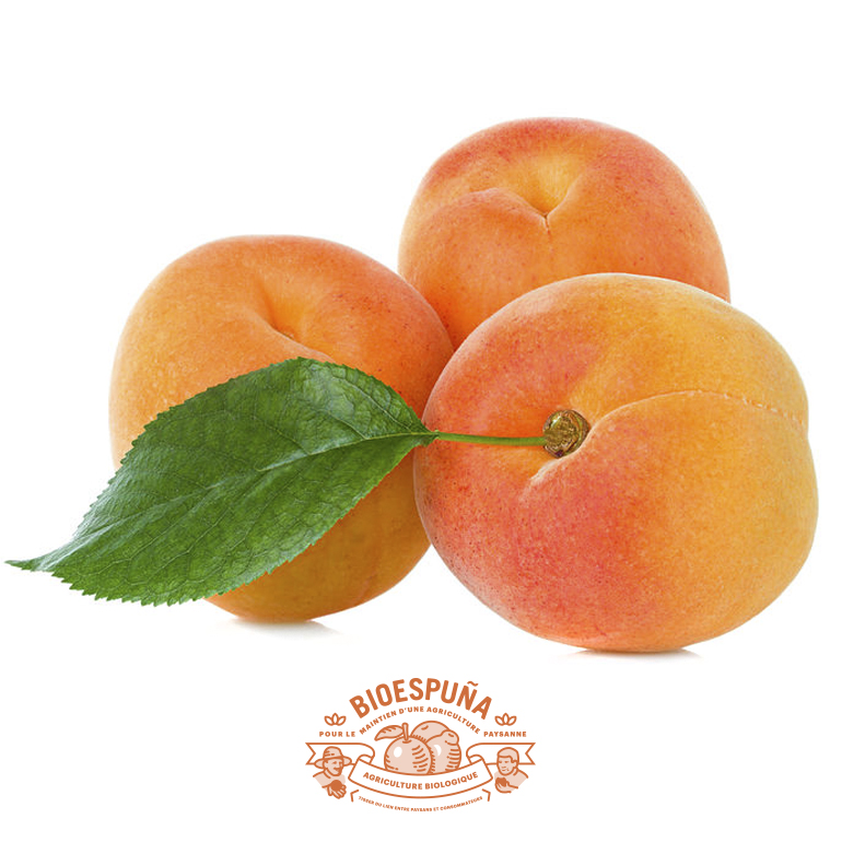 Abricots bio 