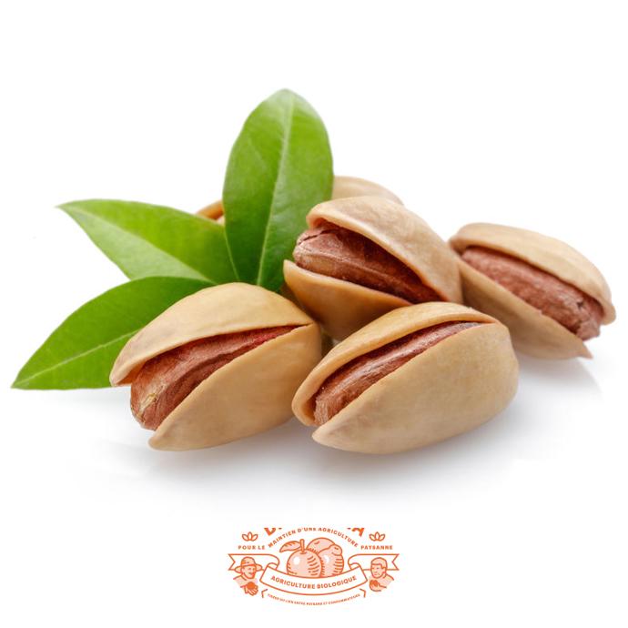 Pistaches natures en coque bio