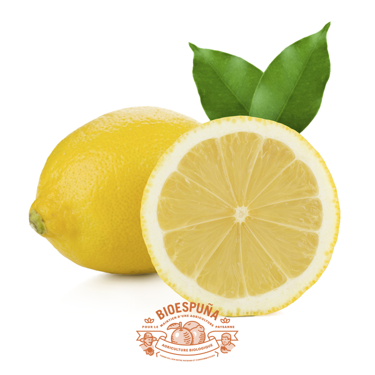 Citrons bio
